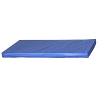 Colchoneta pequeña Kinefis tapizada en loneta plastificada con asas y esquinas reforzadas - Color azul (96 x 60 cm) Colchoneta pequeña Kinefis tapizada en loneta plastificada con asas y esquinas reforzadas - Color azul (96 x 60 cm)